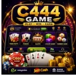 C444 game